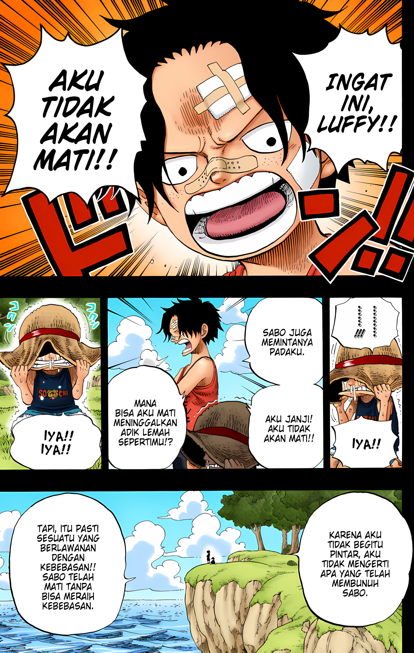 One Piece (Official Colored) Chapter 589 - halaman 5