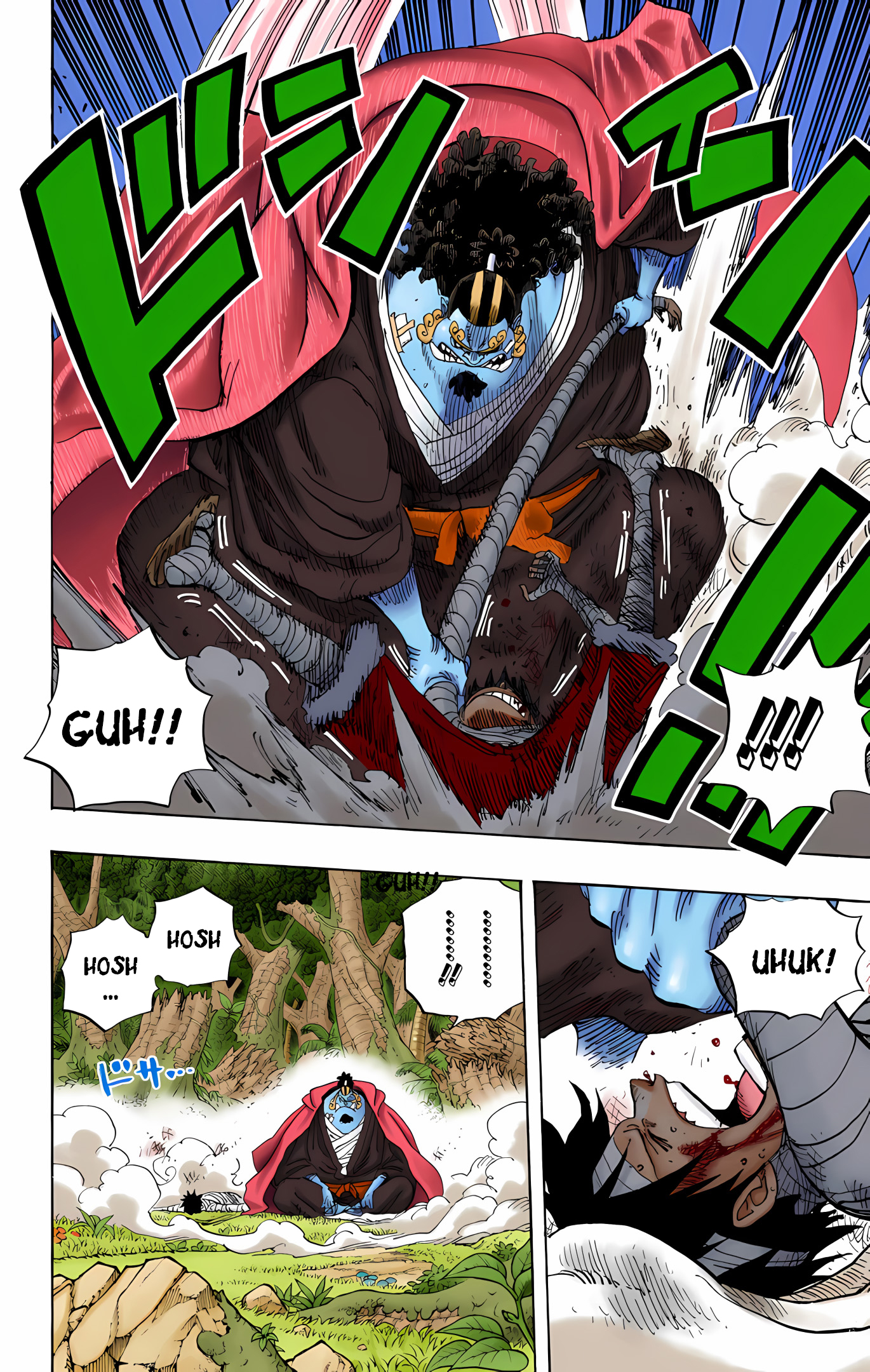 One Piece (Official Colored) Chapter 590 - halaman 12