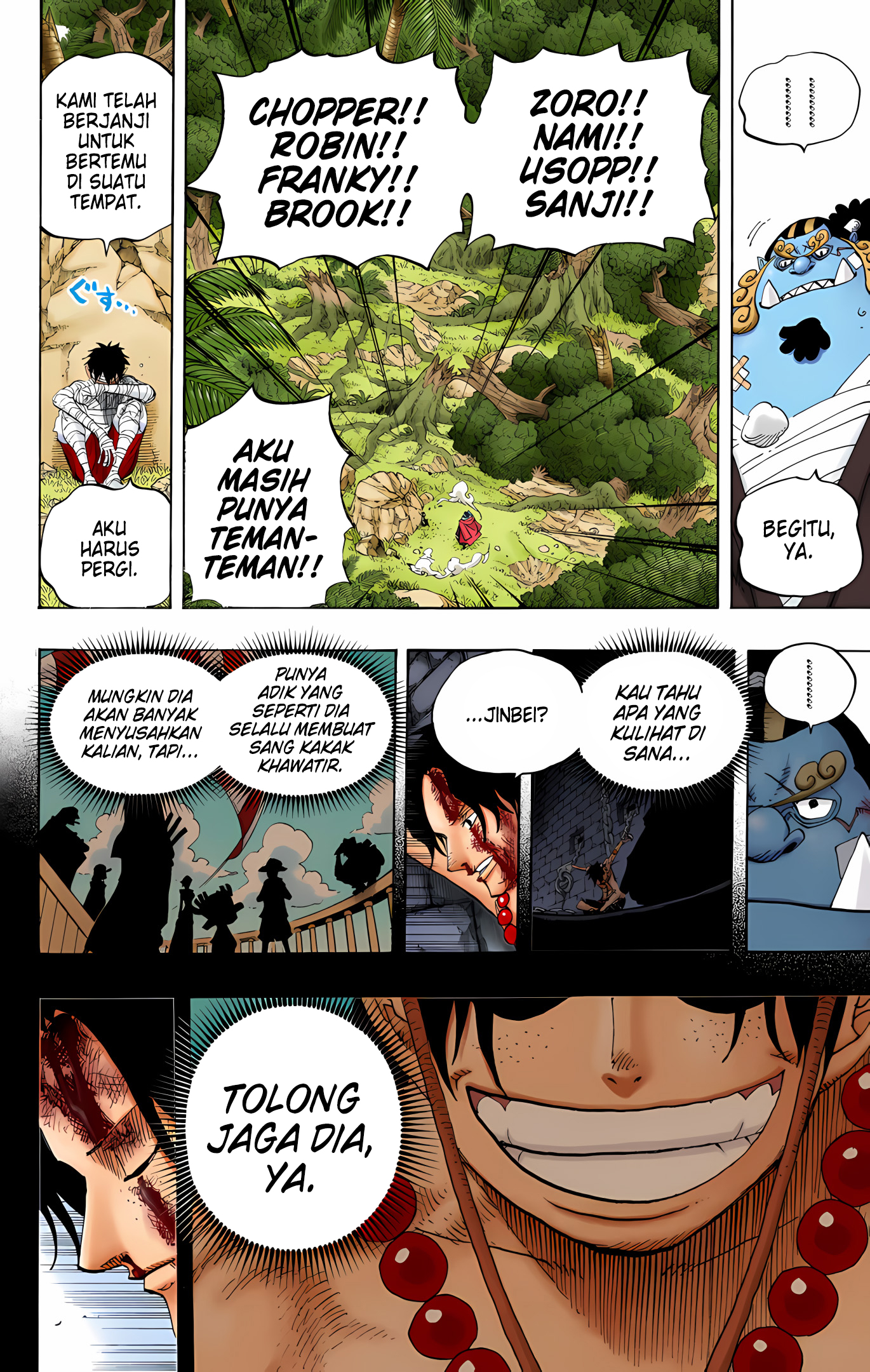 One Piece (Official Colored) Chapter 590 - halaman 17