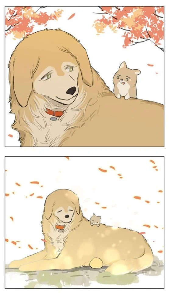 Papa Wolf and the Puppy Chapter 13 - halaman 21