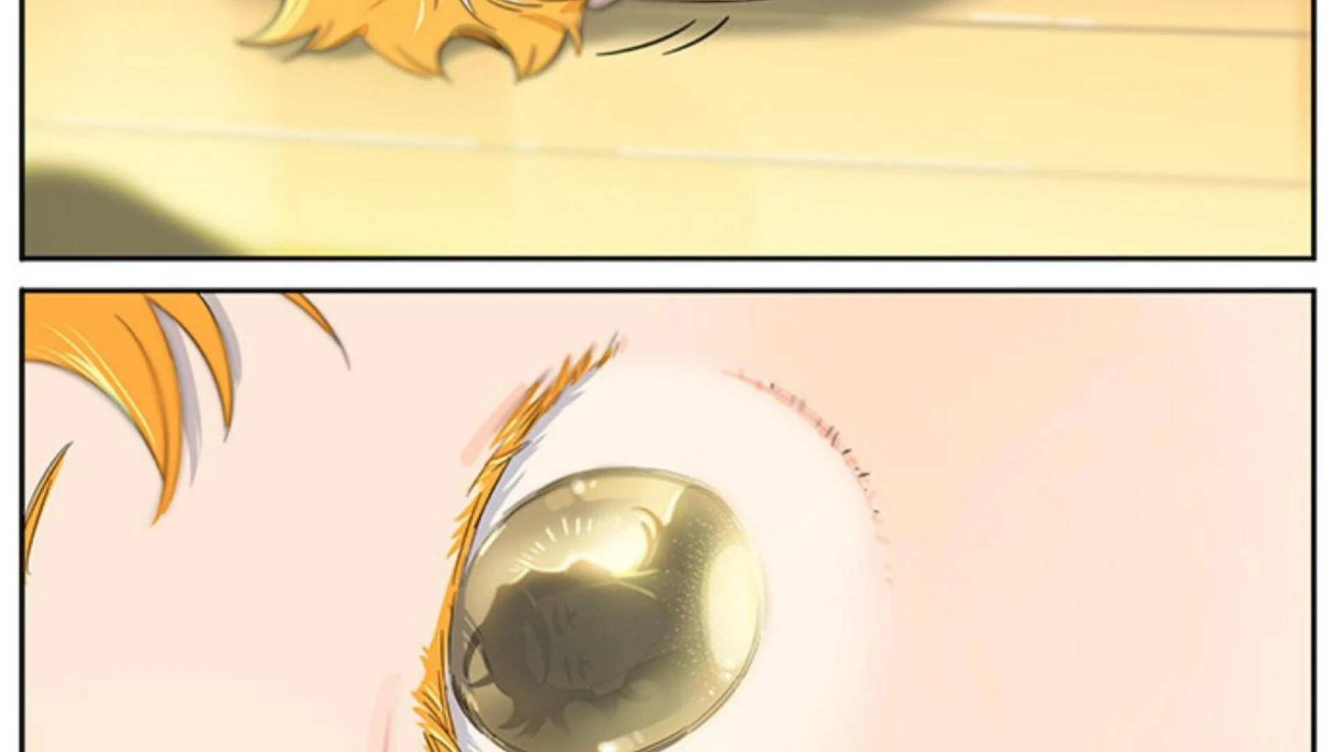 Papa Wolf and the Puppy Chapter 146 - halaman 17