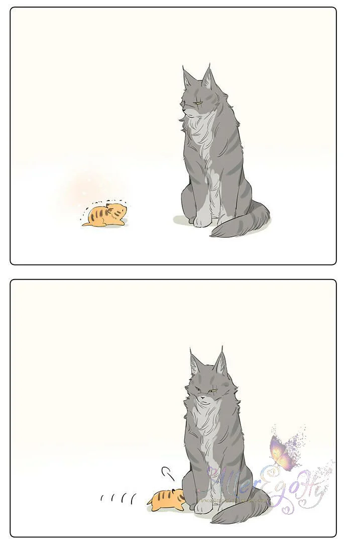 Papa Wolf and the Puppy Chapter 34 - halaman 6