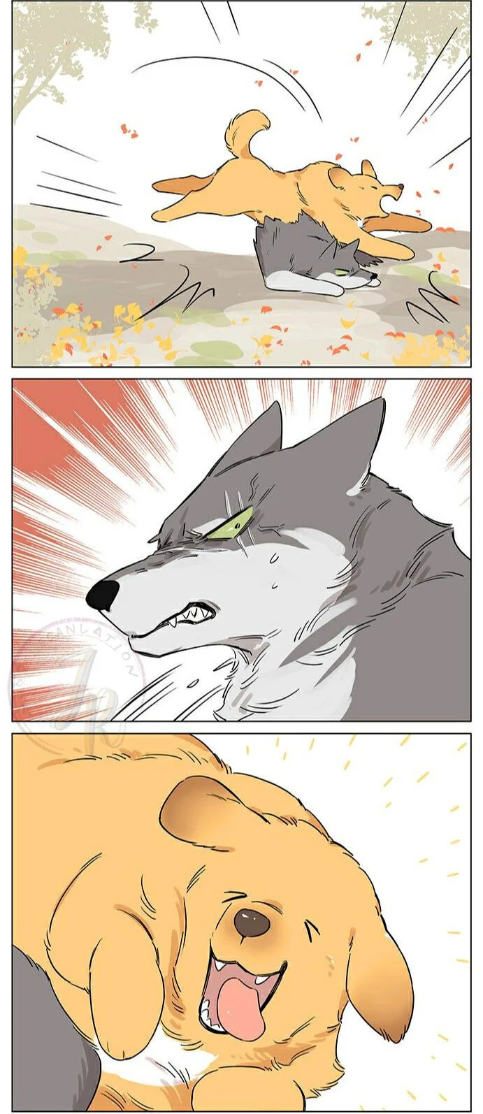 Papa Wolf and the Puppy Chapter 49 - halaman 5