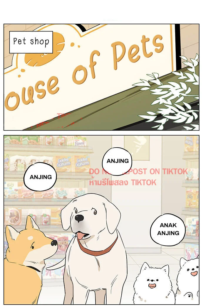 Papa Wolf and the Puppy Chapter 61 - halaman 1