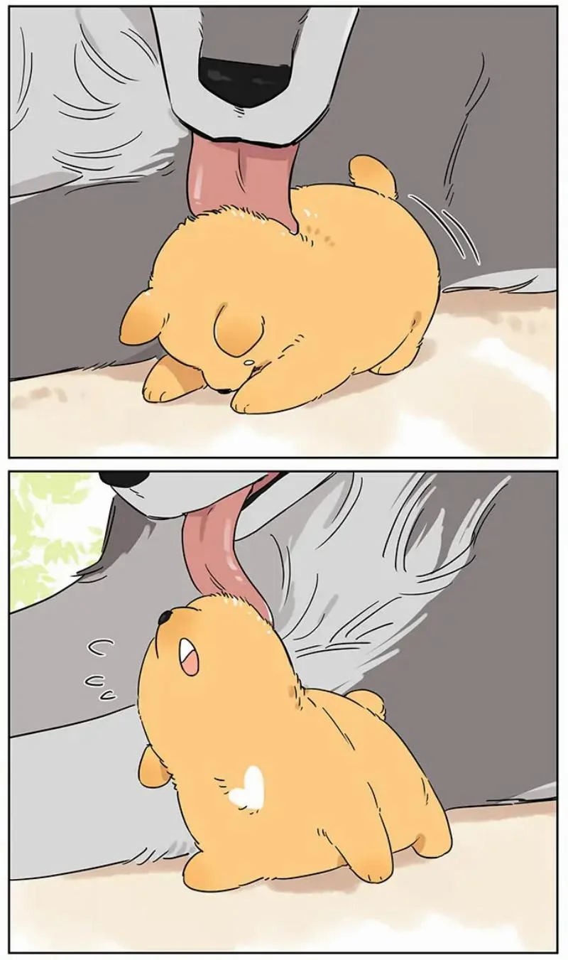 Papa Wolf and the Puppy Chapter 80 - halaman 3
