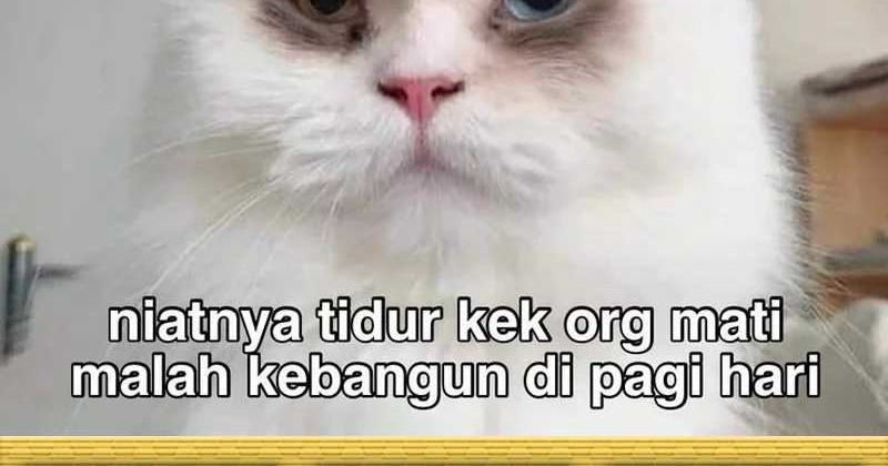 Past Life Regressor Chapter 126 - halaman 107