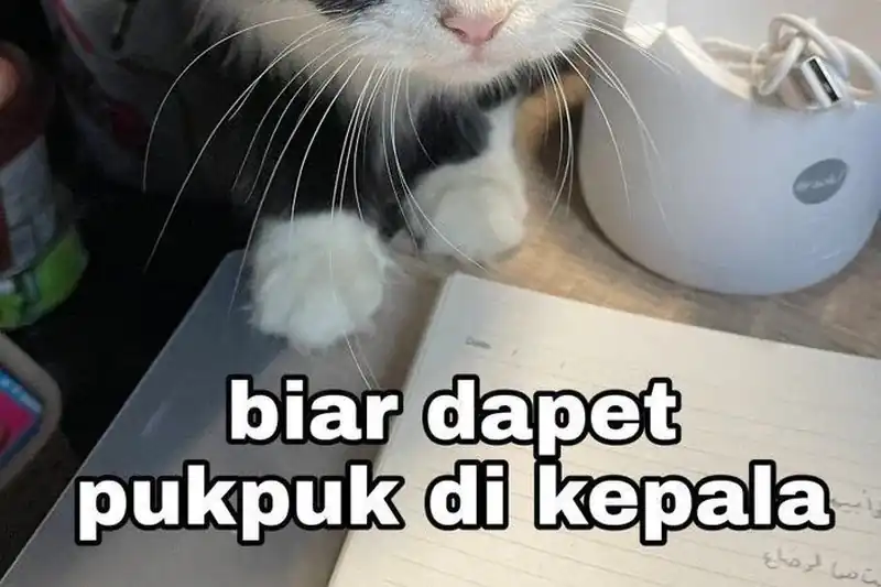 Past Life Regressor (Remake 2022) Chapter 169 - halaman 93