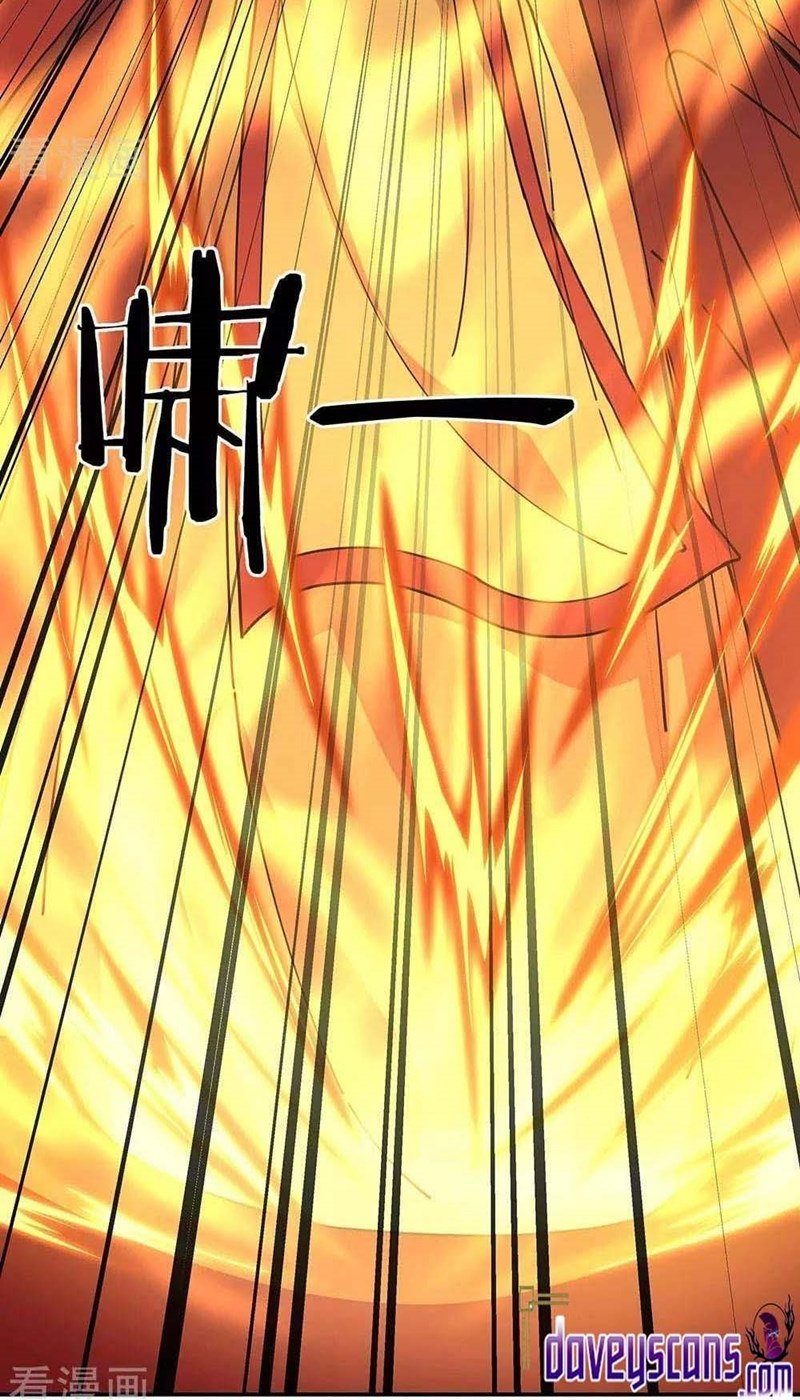 Peerless Battle Spirit Chapter 304 - halaman 25