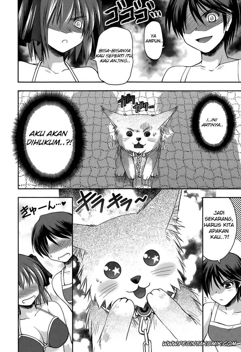 Perowan! Hayashinasai! Goshujinsama Chapter 10 - halaman 4