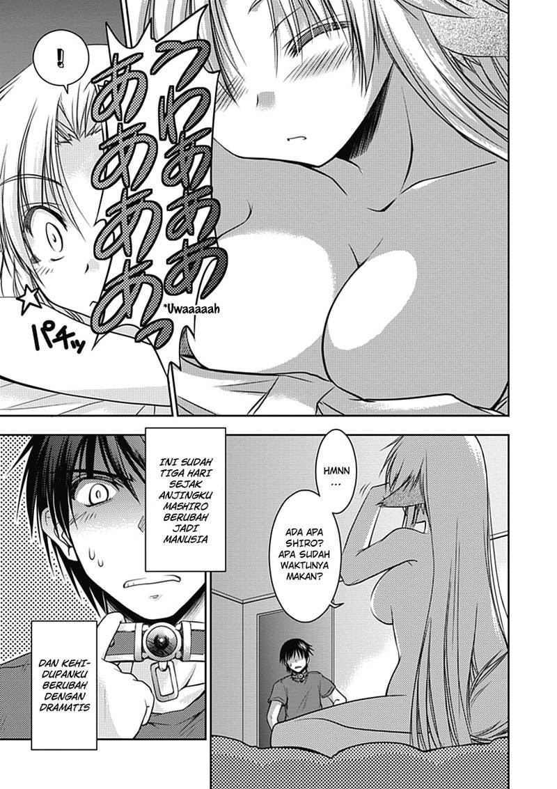 Perowan! Hayashinasai! Goshujinsama Chapter 2 - halaman 4