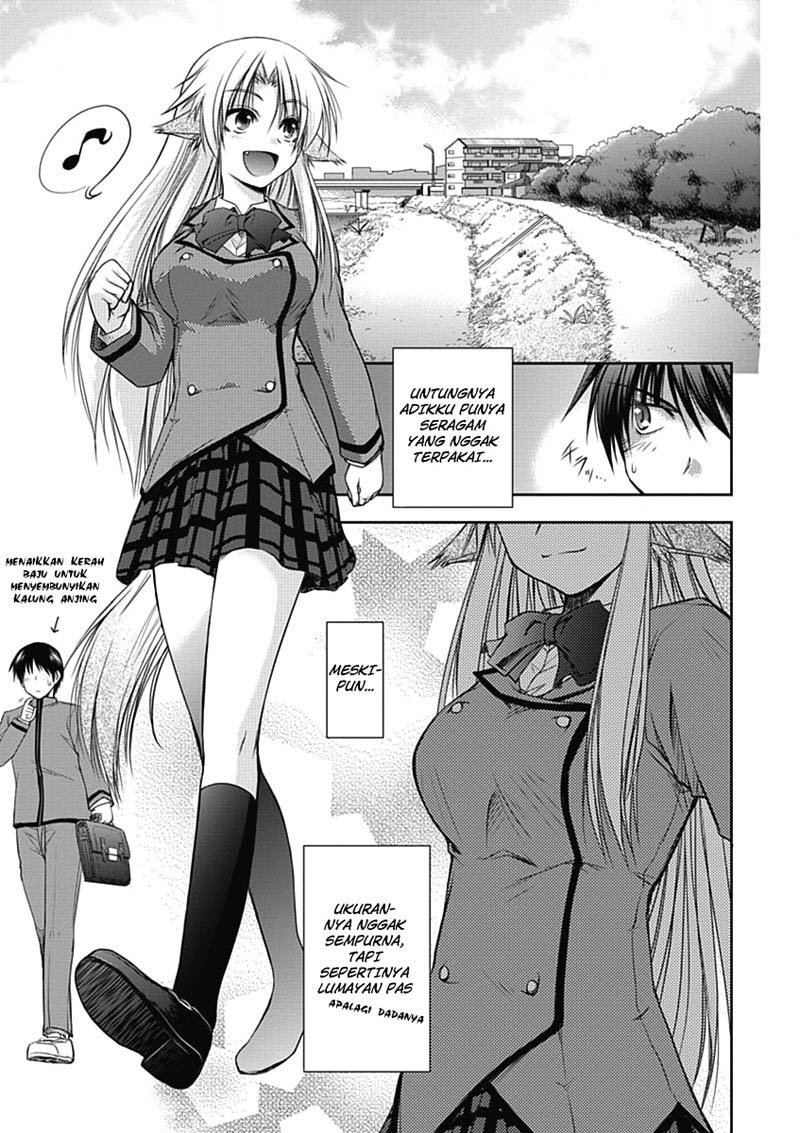 Perowan! Hayashinasai! Goshujinsama Chapter 2 - halaman 8