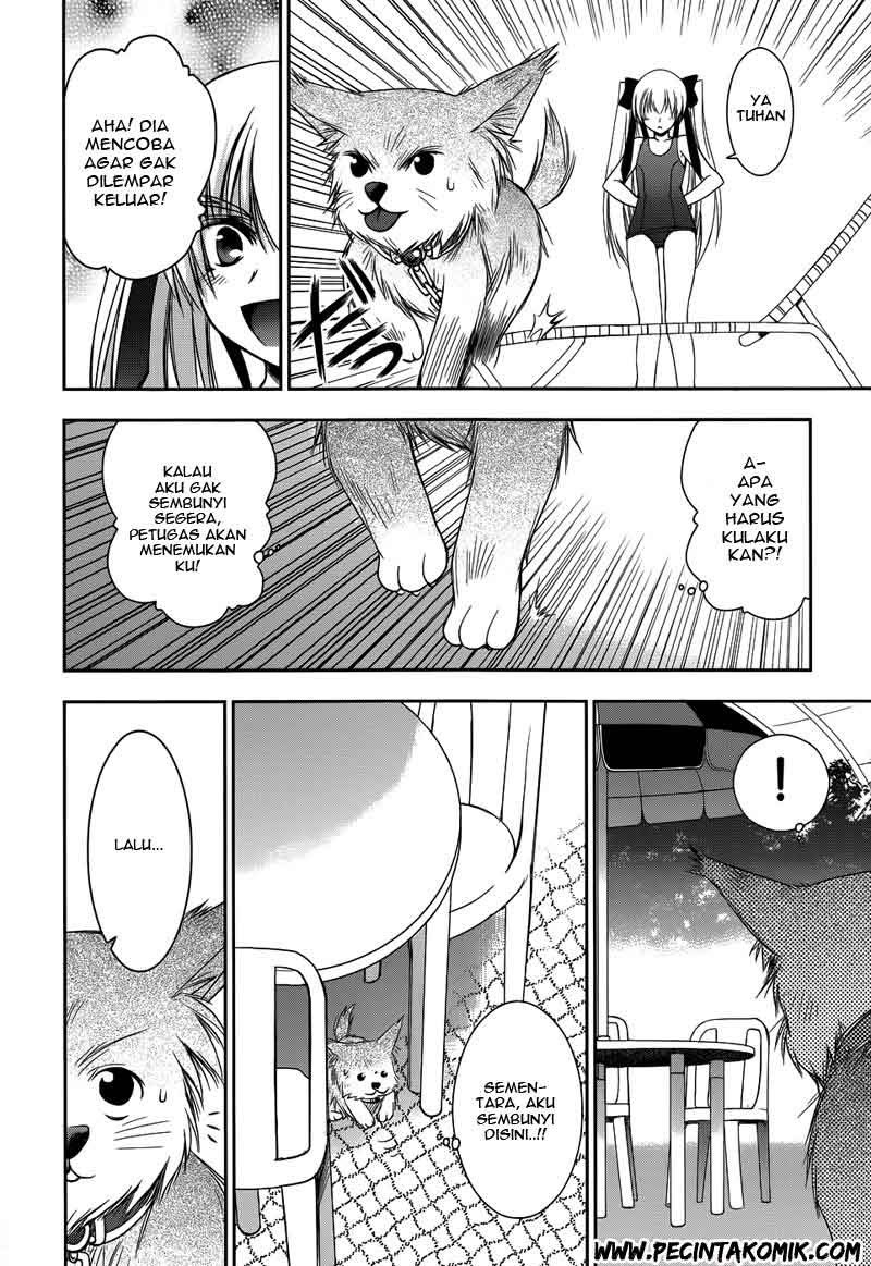 Perowan! Hayashinasai! Goshujinsama Chapter 9 - halaman 13