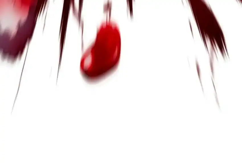 Plaything Chapter 66 - halaman 323