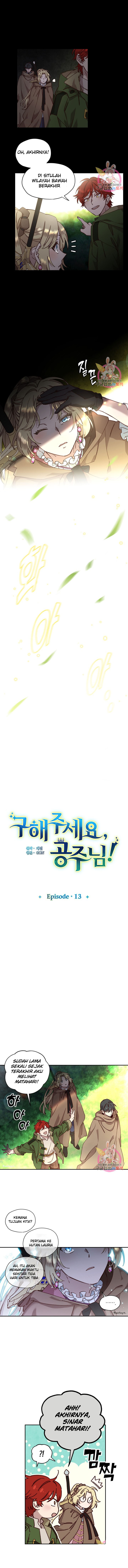 Princess to the Rescue! Chapter 13 - halaman 1
