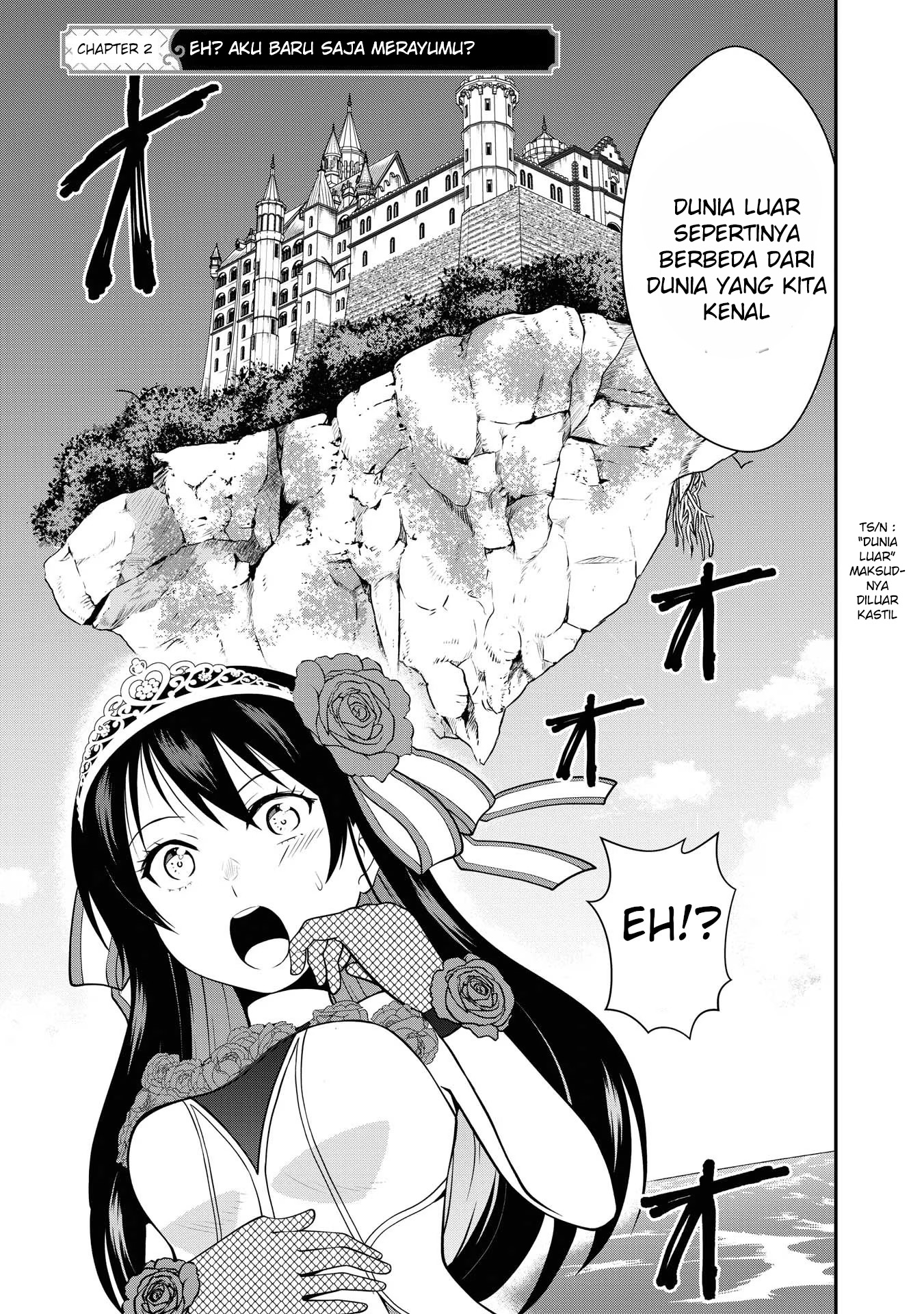 Princess wa Barairo no Yume wo Miru Chapter 2 - halaman 2