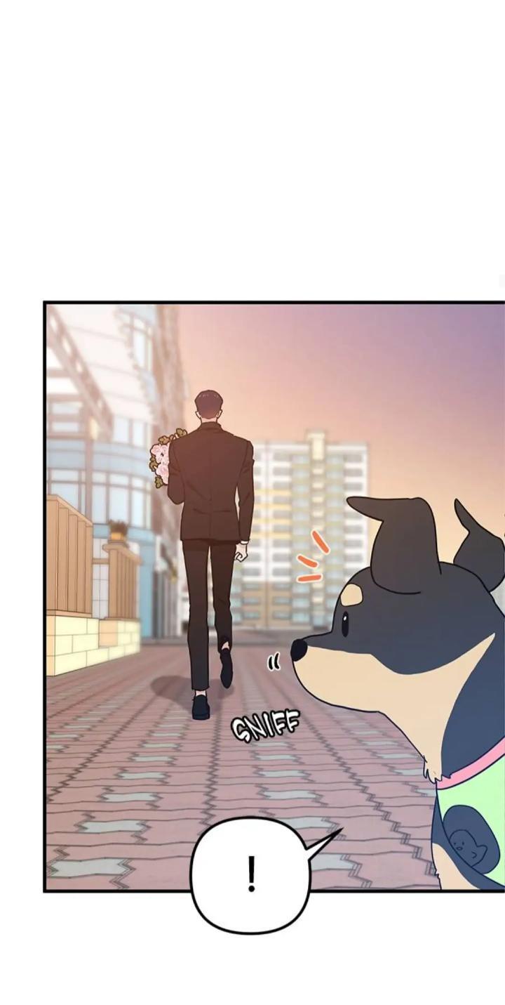 Protect Me, Knight Chapter 27 - halaman 21
