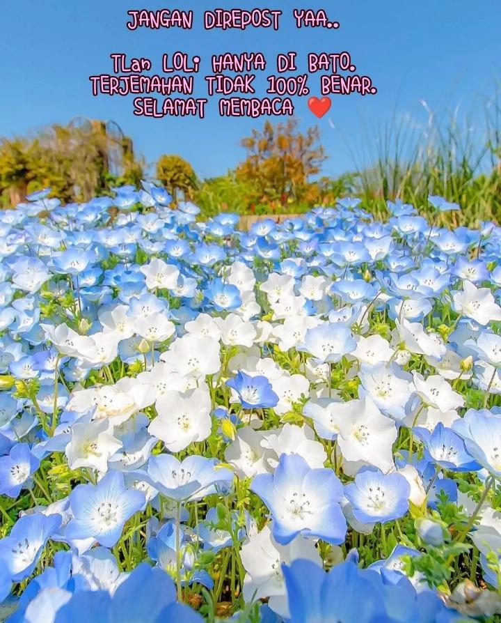 Protect Me, Knight Chapter 32 - halaman 1