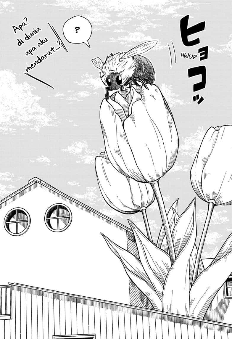 Psych House Chapter 8 - halaman 17