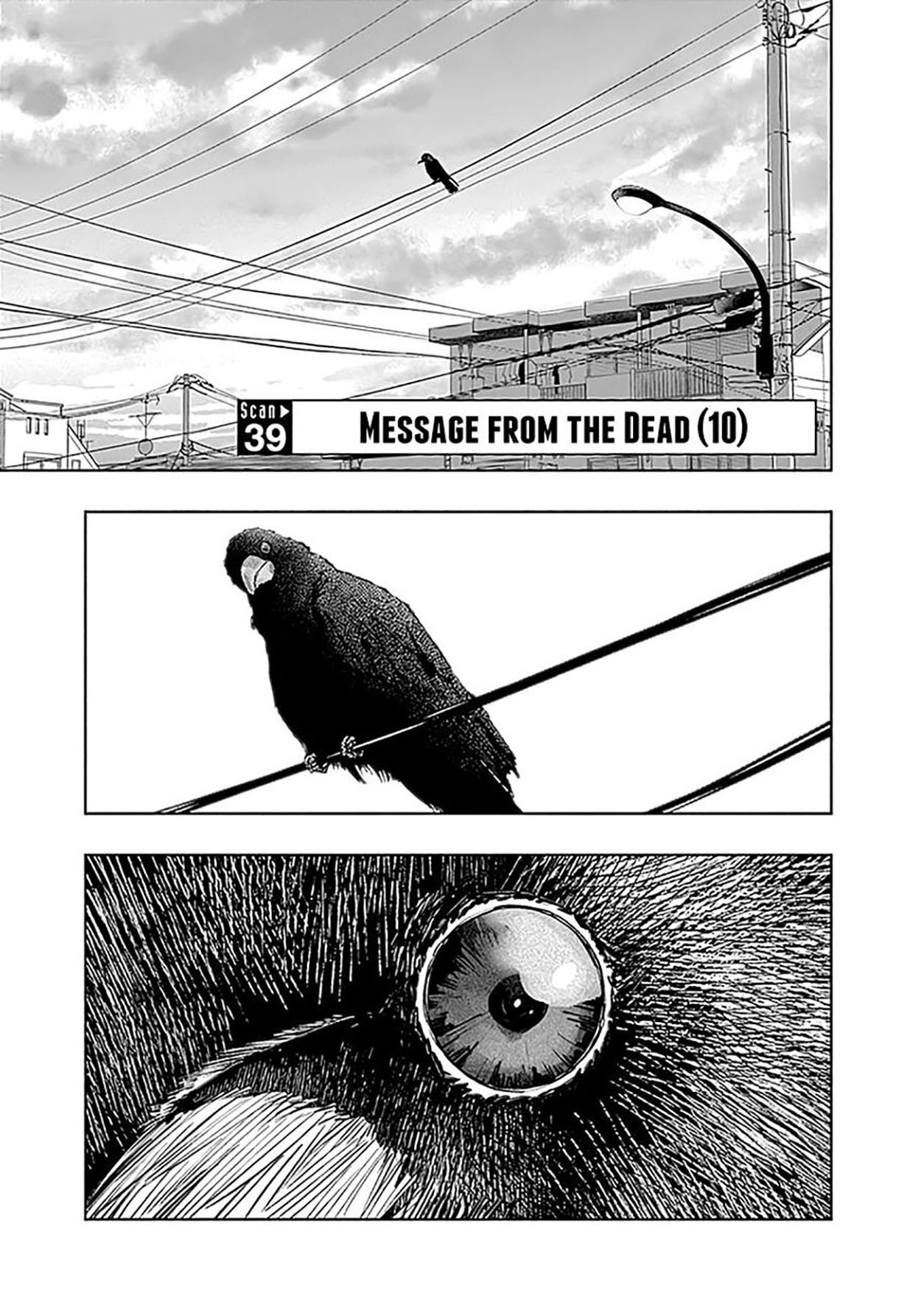 Radiation House Chapter 39 - halaman 2