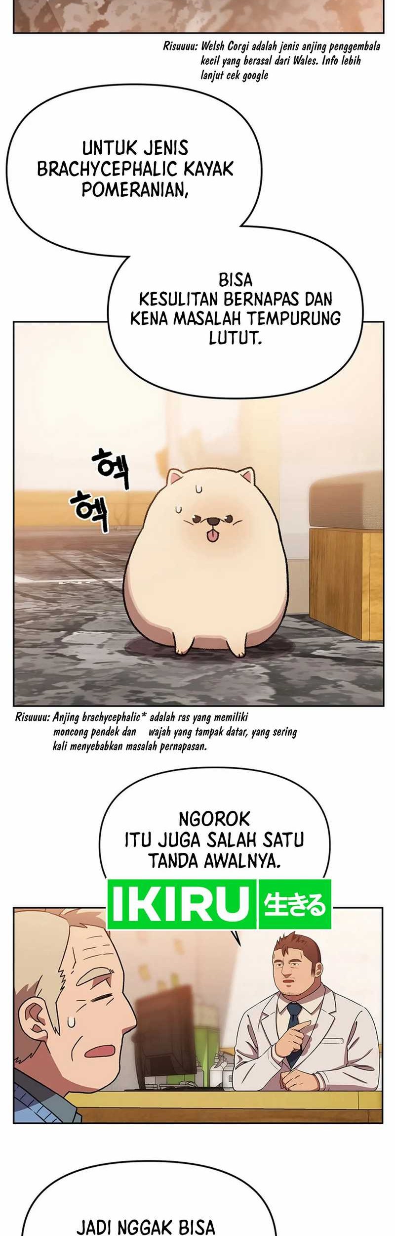 Rainbow Bridge Watchman Chapter 133 - halaman 22