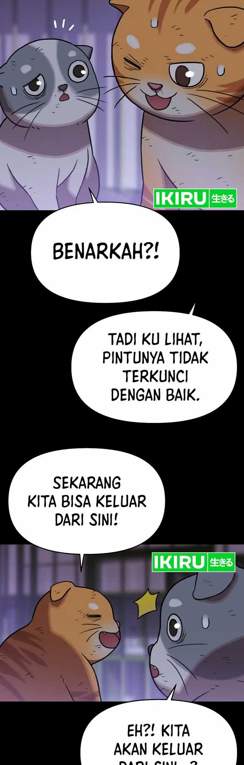 Rainbow Bridge Watchman Chapter 137 - halaman 28