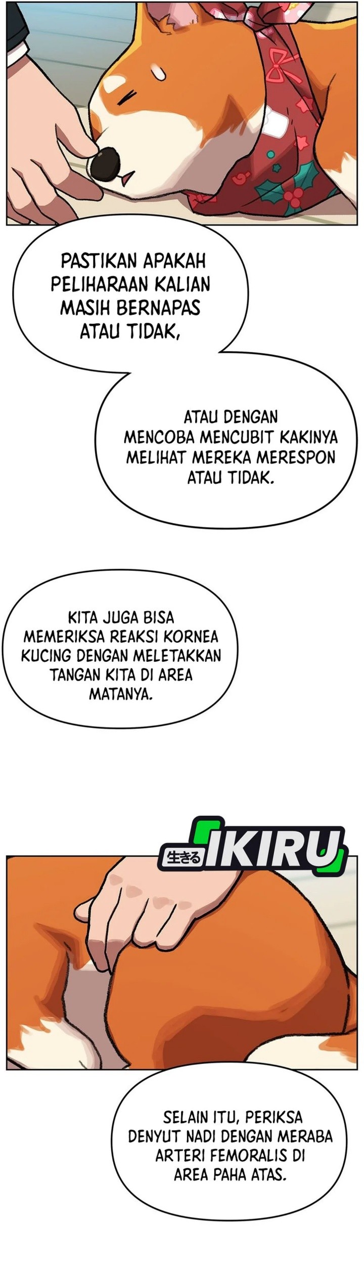 Rainbow Bridge Watchman Chapter 154 - halaman 44