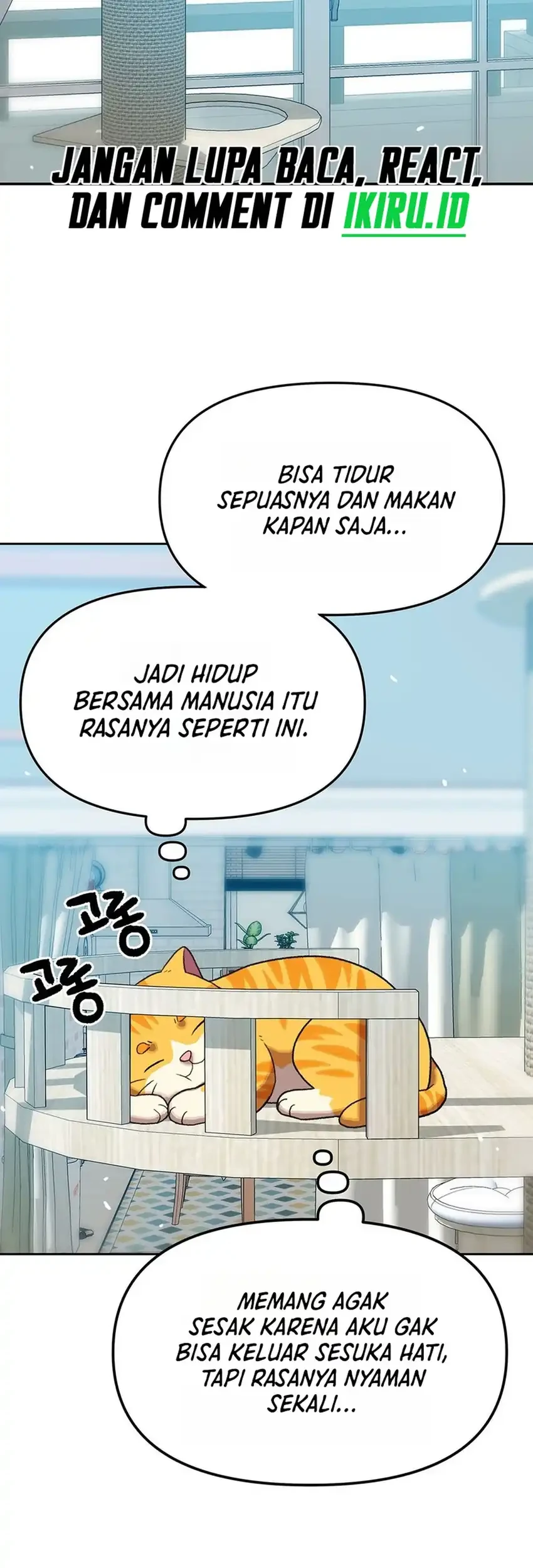 Rainbow Bridge Watchman Chapter 191 - halaman 17