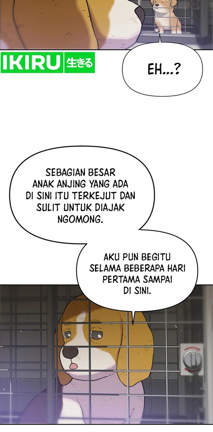 Rainbow Bridge Watchman Chapter 48 - halaman 8