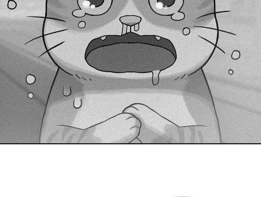 Rainbow Bridge Watchman Chapter 91 - halaman 8