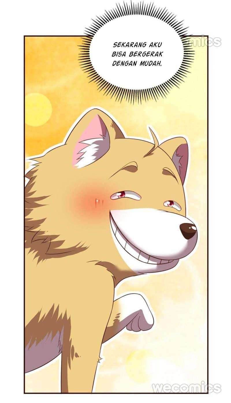 Rebirth Become a Dog Chapter 49 - halaman 11
