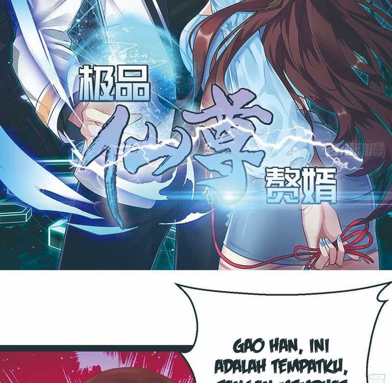Rebirth Into the Strongest Immortal Cultivator Chapter 15 - halaman 16