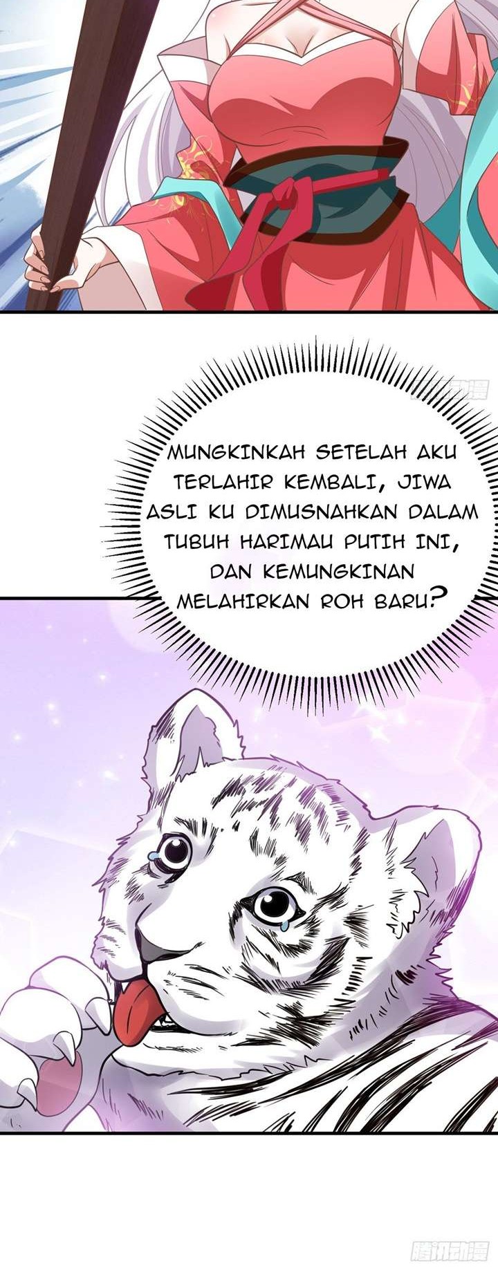 Rebirth of the Cute Tiger: Great General Wants to Hug Chapter 12 - halaman 5