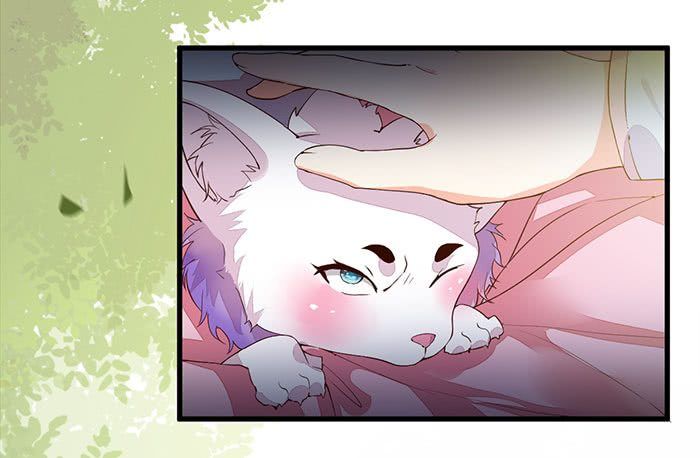 Rebirth Of The Divine Doctor Chapter 14 - halaman 14