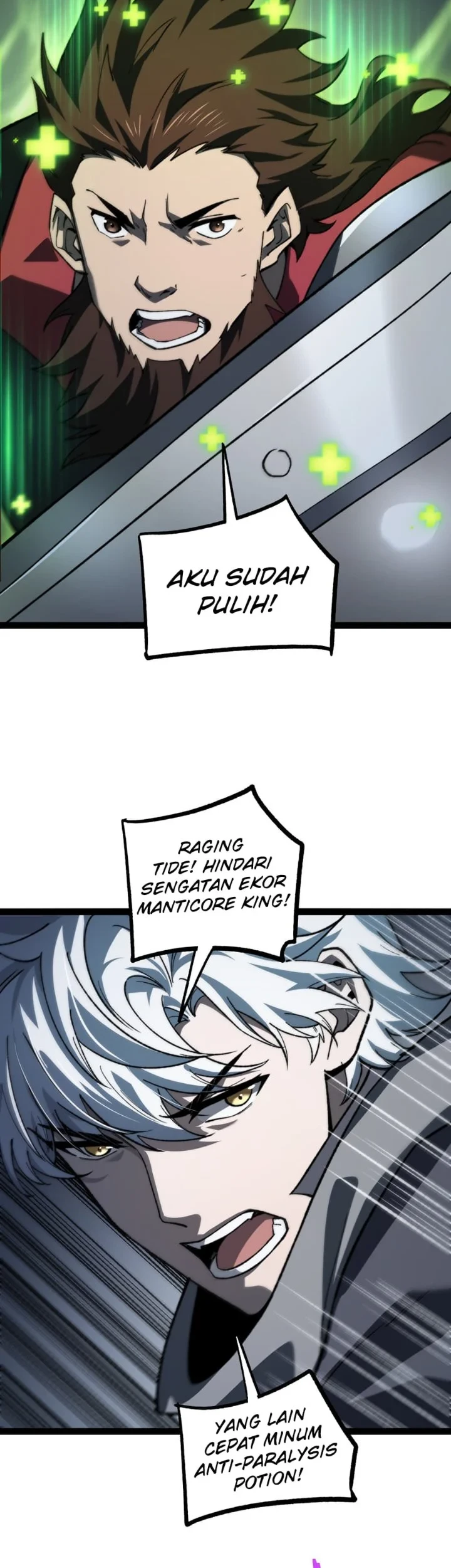 Rebirth of the Thief Who Roamed the World Chapter 34 - halaman 12