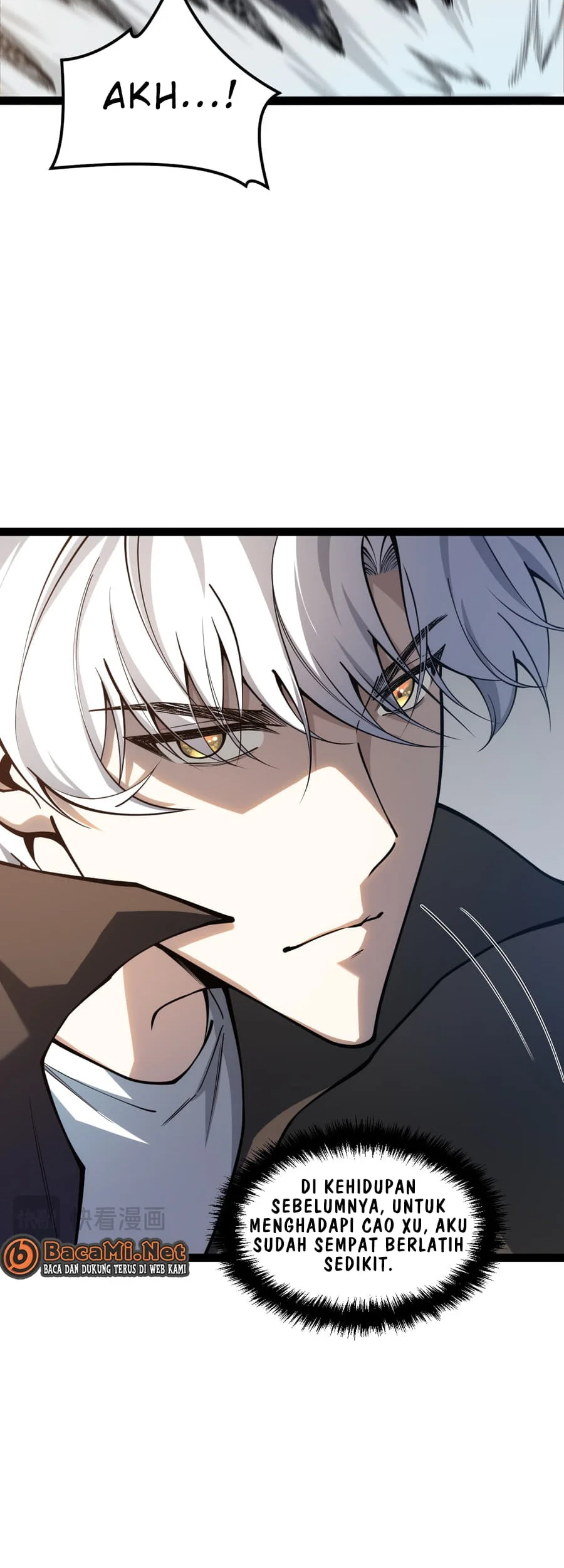 Rebirth of the Thief Who Roamed the World Chapter 5 - halaman 18