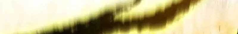 Regressor’s Life After Retirement Chapter 43 - halaman 31