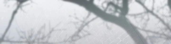 Reincarnated as a Genius Prodigy of a Prestigious Family Chapter 86 - halaman 12