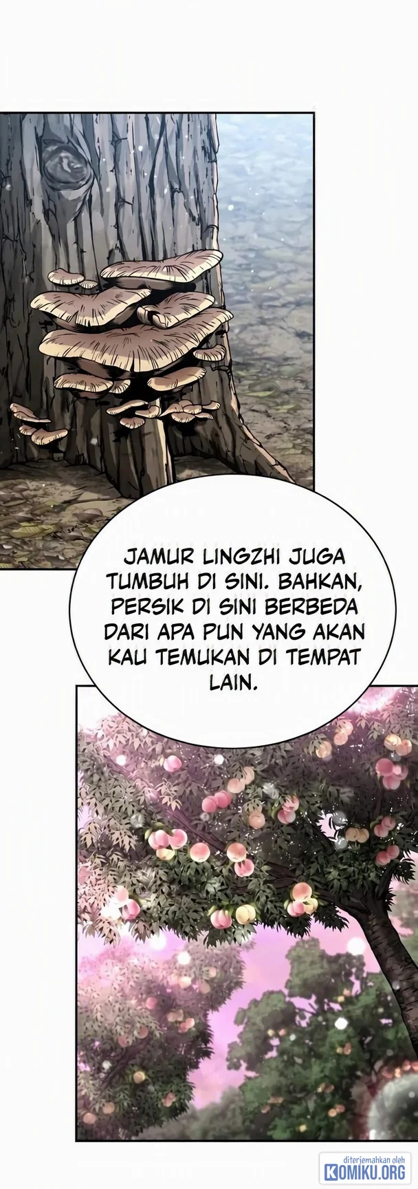 Reincarnation of the Fist King Chapter 63 - halaman 65