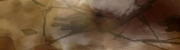 Release That Witch Chapter 407 - halaman 48