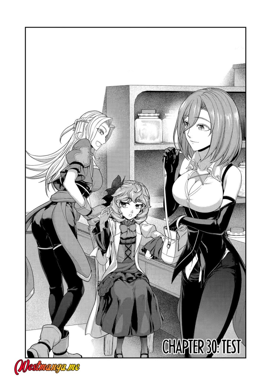 Renkinjutsushi desu. Jichou wa Gomibako ni Sutetekimashita. Chapter 30 - halaman 2