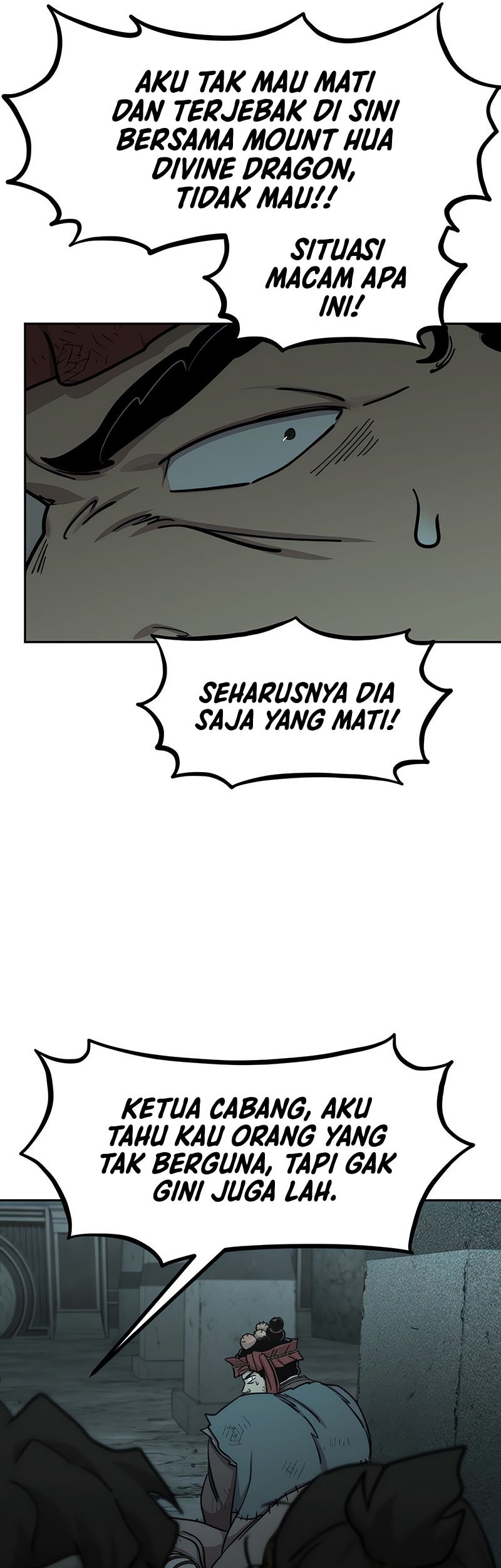 Return of the Flowery Mountain Sect Chapter 95 - halaman 15