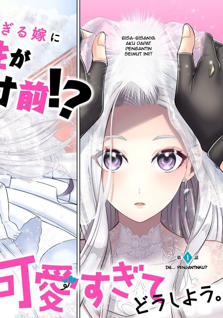 Ringoku kara Kita Yome ga Kawaisugite Doushiyou. Chapter 1 - halaman 3