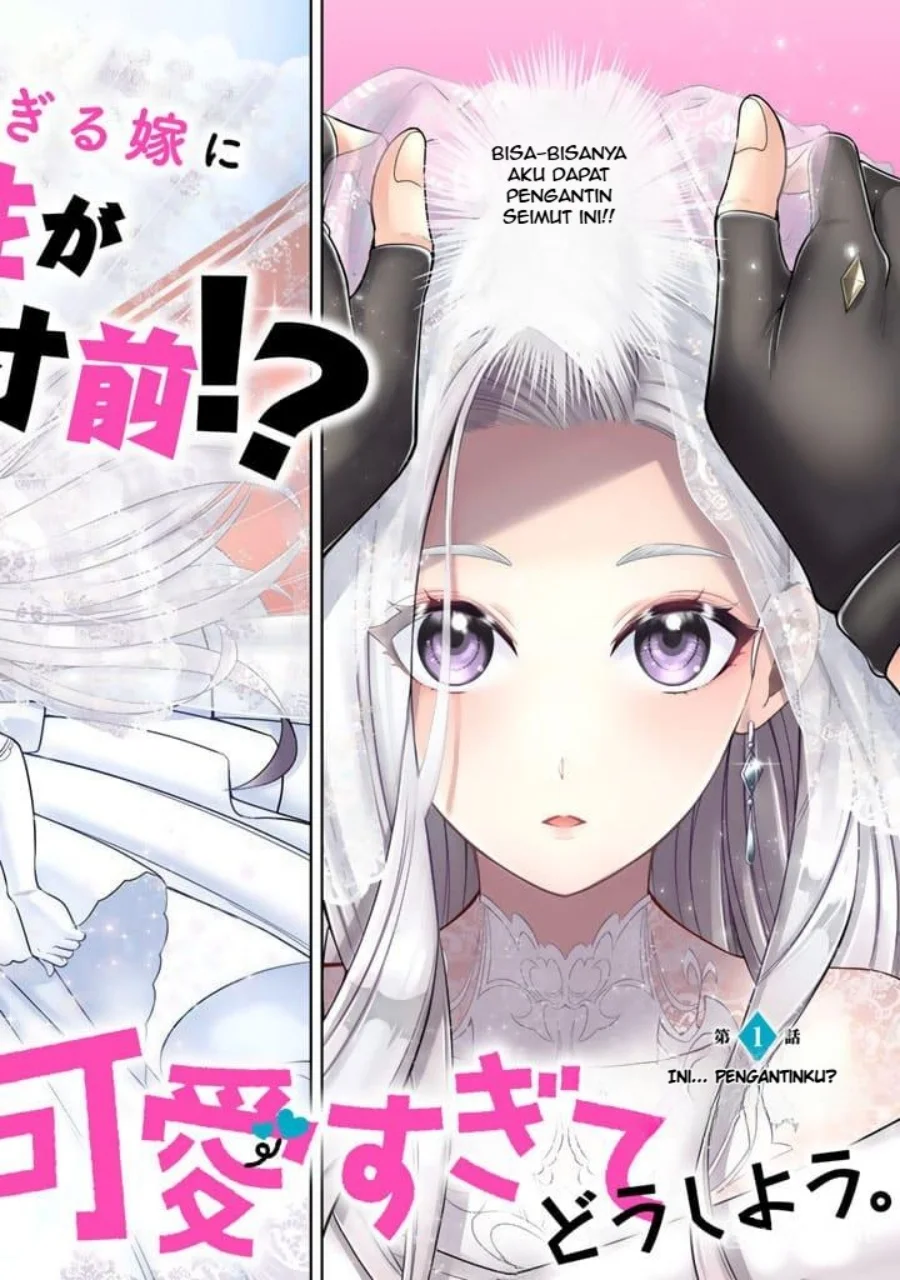 Rinkoku kara Kita Yome ga Kawaisugite Doushiyou Chapter 1 - halaman 3