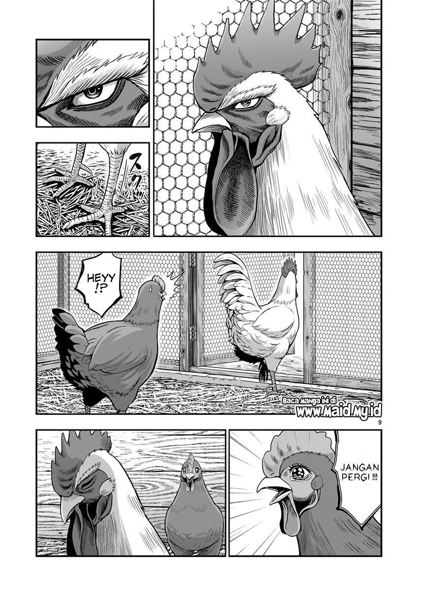 Rooster Fighter Chapter 1 - halaman 12