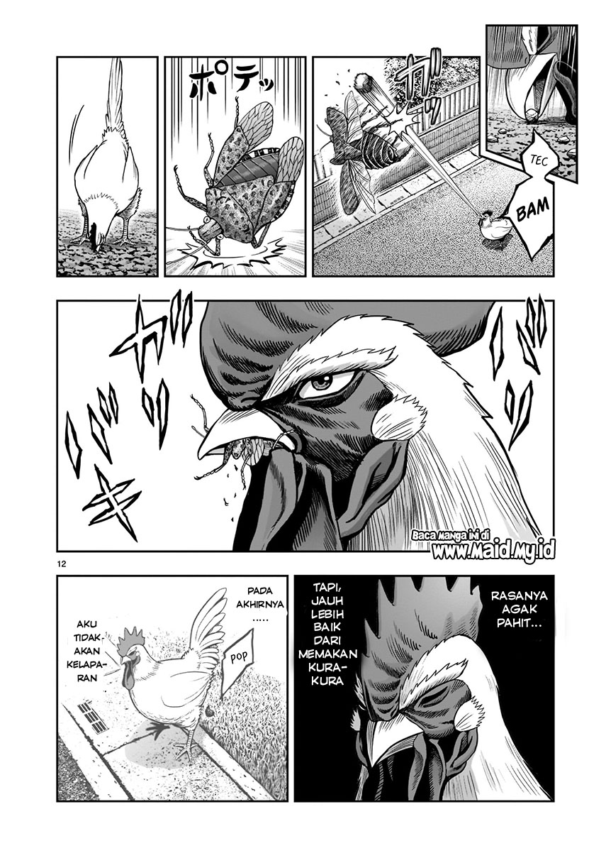 Rooster Fighter Chapter 1 - halaman 15