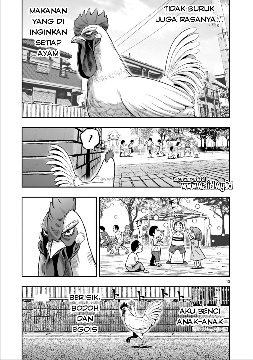 Rooster Fighter Chapter 1 - halaman 16