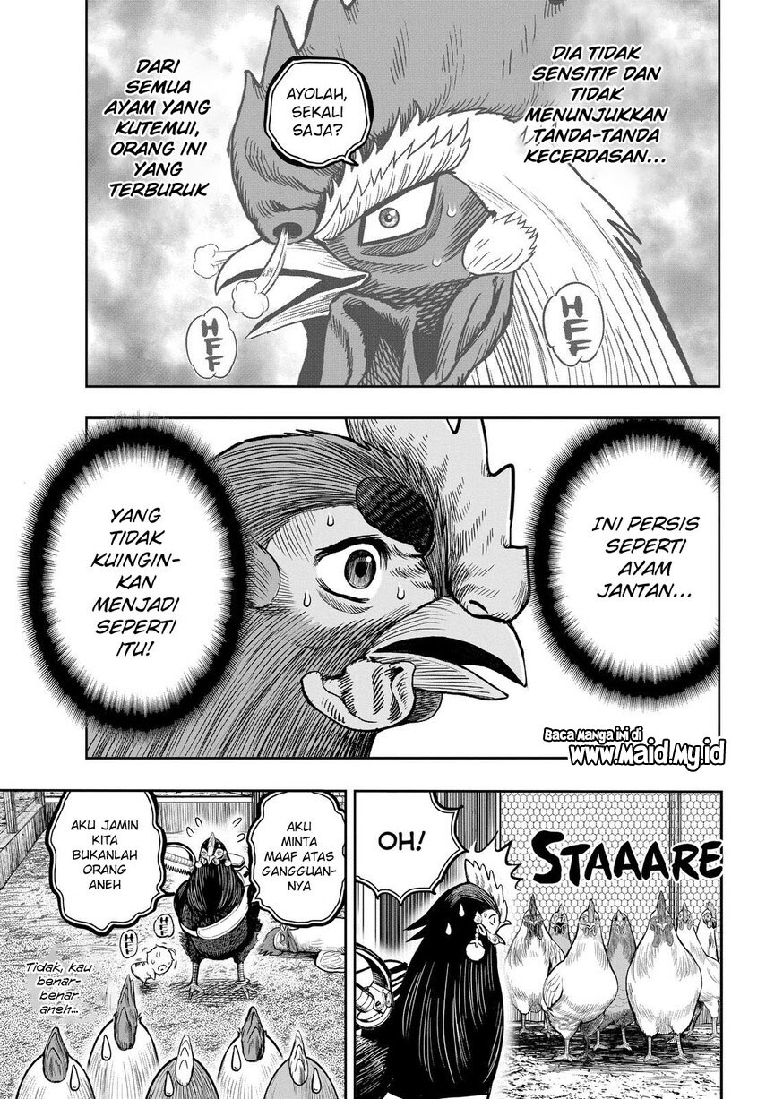 Rooster Fighter Chapter 11 - halaman 13