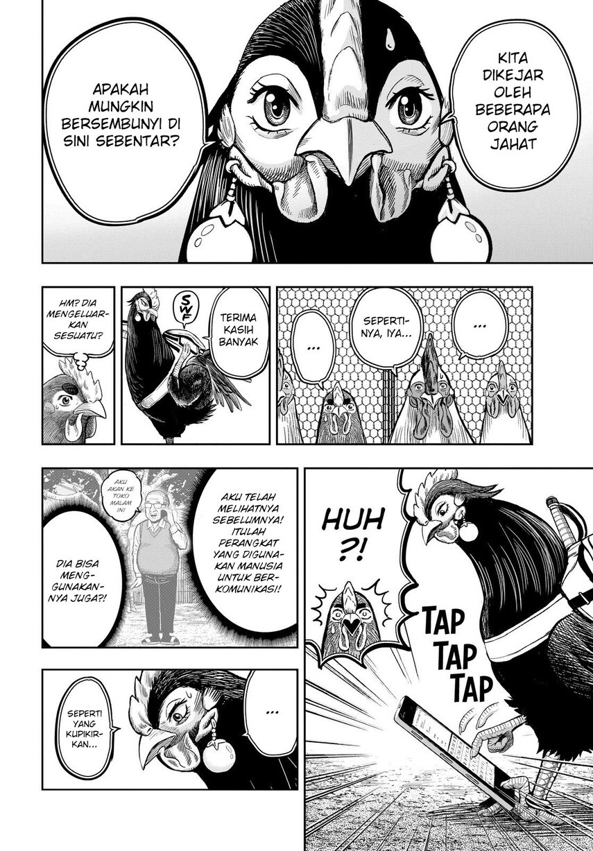 Rooster Fighter Chapter 11 - halaman 14