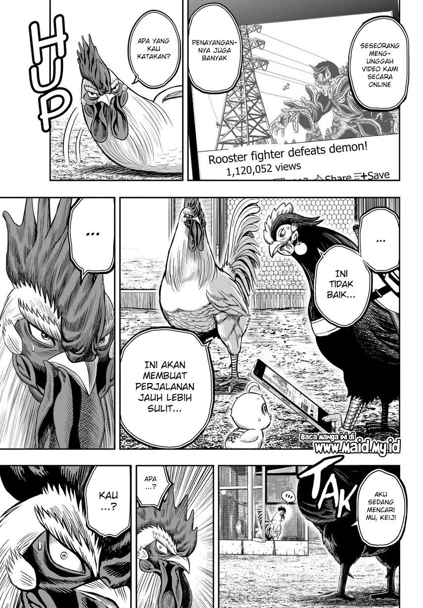 Rooster Fighter Chapter 11 - halaman 15