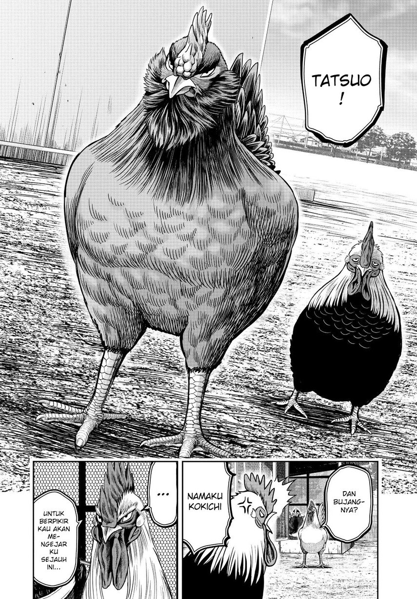 Rooster Fighter Chapter 11 - halaman 16